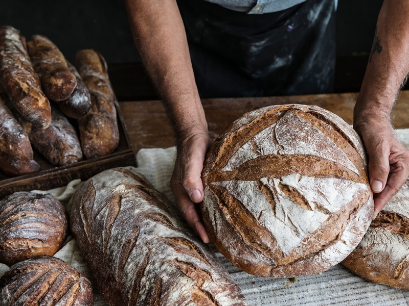 brot1 brot1