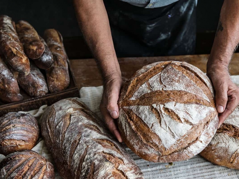 brot1 brot1