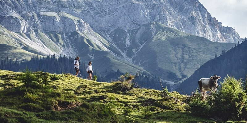 wandern wandern