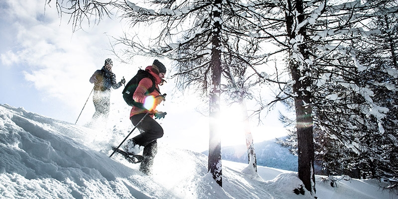 wanderski wanderski