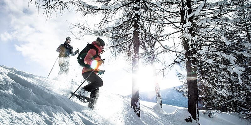 wanderski wanderski